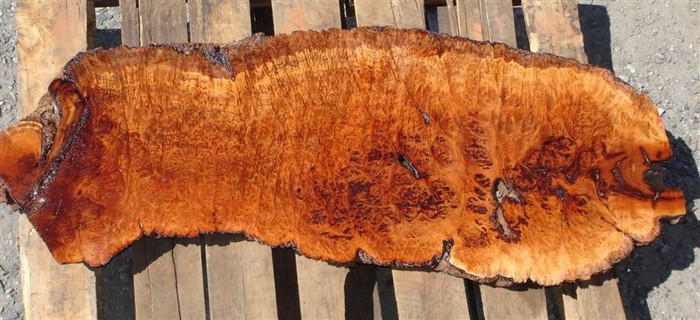 Hardwood Slabs for Kitchen Countertops